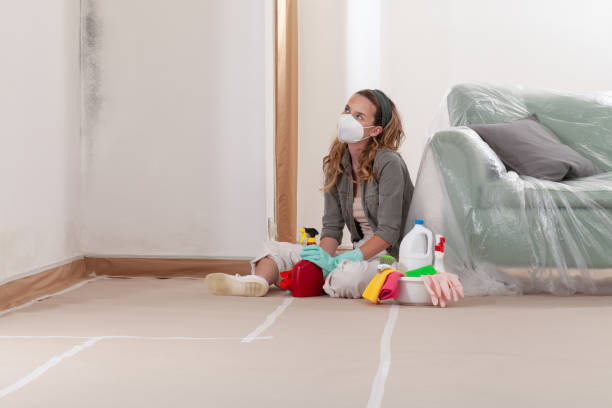 Reliable Basement Mold Remediation contractor in Bridgeport, TX by 24 Hour Mold Removal